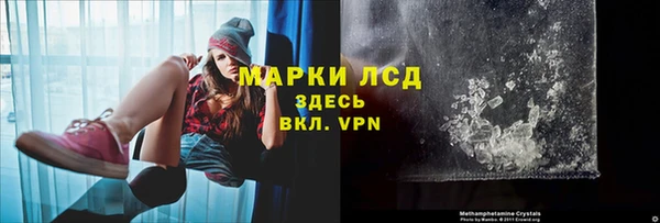 MESCALINE Аркадак