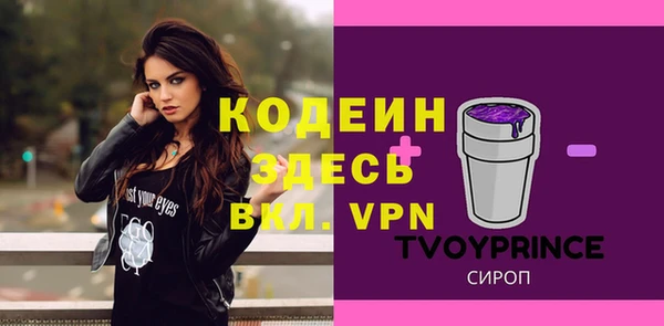 тгк Арсеньев