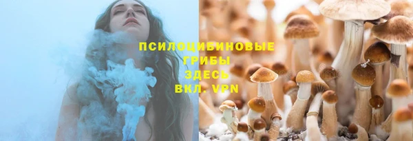 MESCALINE Аркадак