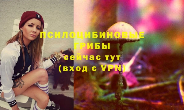 MESCALINE Аркадак