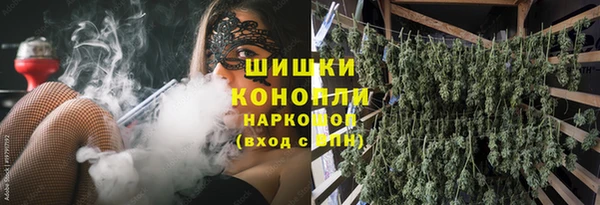 MESCALINE Аркадак