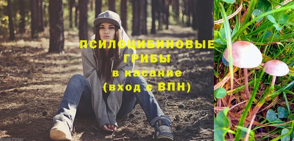 MESCALINE Аркадак