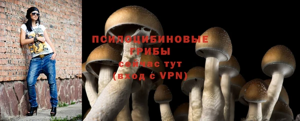 тгк Арсеньев